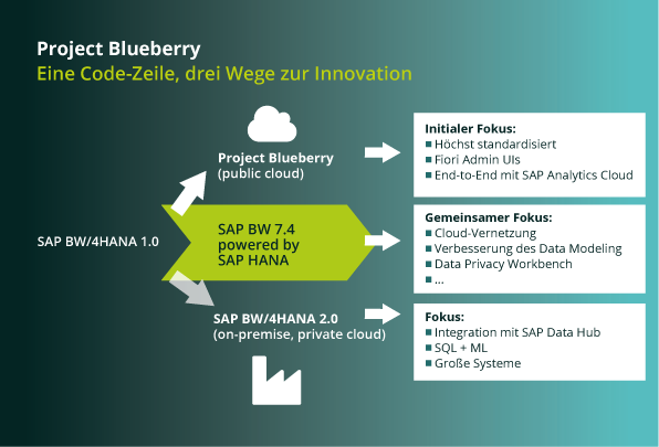 project blueberry