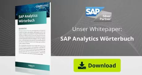 Überblick der Begriffserklärungen im SAP Analytics Umfeld.