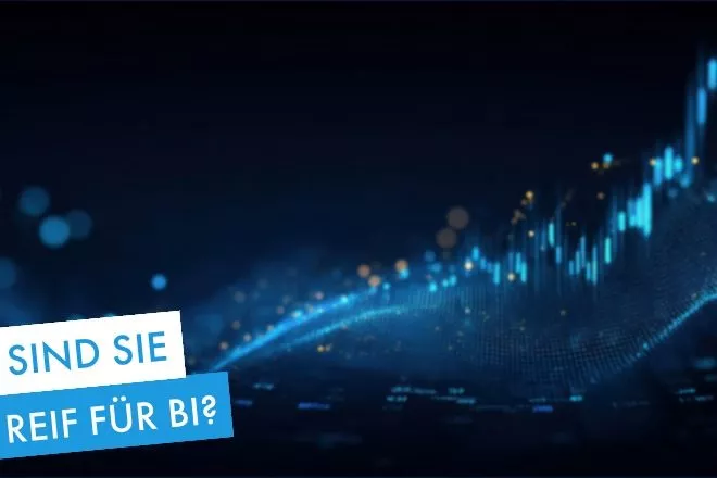 Reifegrad Business Intelligence