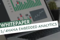 Whitepaper Embedded Analytics