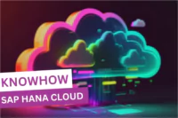 SAP HANA Cloud