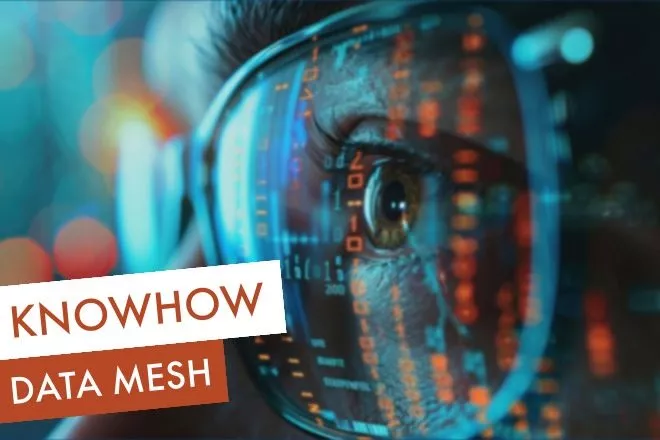 Data Mesh
