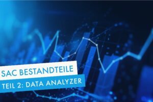 sap analytics cloud data analyzer